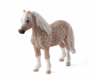 Mojo Velšský pony