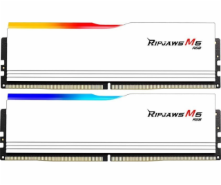 G.Skill DIMM 64 GB DDR5-5200 (2x 32 GB) duální sada, RAM