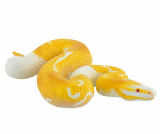 Krajta Kráľovská Albín