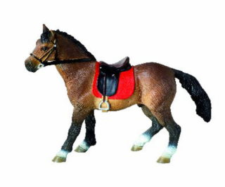 Kôň hanoverský žrebec