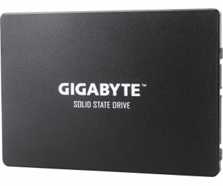 Gigabyte 1TB 2.5 SATA III SSD (GP-GSTFS31100TNTD)