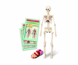 Vzdělávací hračka Clementoni The Human Body Mini-Set 50824