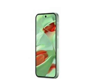 Google Pixel 9 - 256GB Wintergreen, EU