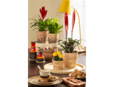 Hrniec Scheurich Cork, keramika, O 16 cm, svetlo hnedý