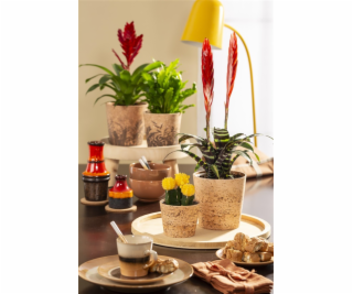 Hrniec Scheurich Cork Jungle, keramika, O 14 cm, hnedý