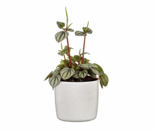 Hrniec Scheurich Perla 64668, keramika, H 18 cm, biely