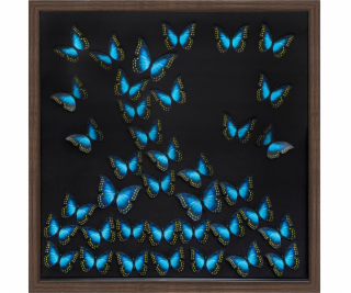 Atmosphera 3D nástěnná dekorace s motýly, 55 x 55 cm