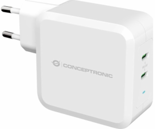Conceptronic CONCEPTRONIC Nabíjačka 2Port 100W, USB-C PD ...