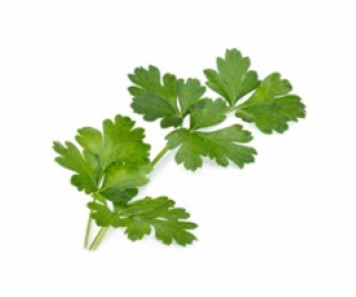 Véritable Lingot Italská petržel - BIO