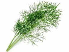 Véritable Lingot Kôpor - BIO