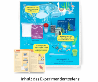 Salzkrebse, Experimentierkasten