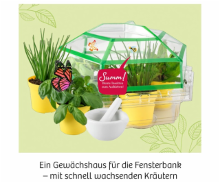 Kräuter-Garten, Experimentierkasten
