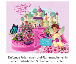 Feen-Garten, Experimentierkasten
