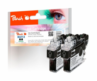 Tinte Doppelpack schwarz PI500-255