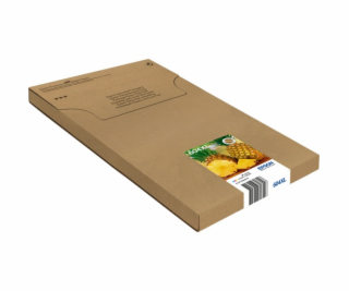 Inkoust Multipack 604XL Černá/hod. CMY (C13T10H64510)