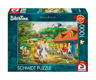 Thomas Kinkade Studios: Bibi & Tina – Zábava na Martinsho...