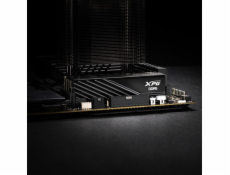 ADATA DIMM 32 GB DDR5-5600 (2x 16 GB) duální sada, RAM