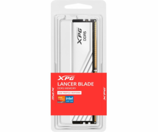 ADATA DIMM 16 GB DDR5-6400 (1x 16 GB), RAM