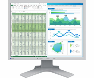  EIZO FlexScan S2134, LED monitor