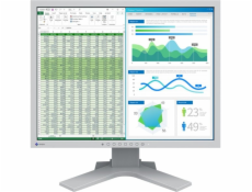 EIZO FlexScan S2134, LED monitor