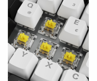 Sharkoon SKILLER SGK50 S3, herní klávesnice
