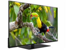 JVC LT-43VU6355, LED TV