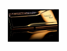 G.Skill DIMM 48 GB DDR5-8000 (2x 24 GB) duální sada, RAM