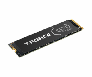 Team Group T-FORCE G70 Pro 2TB, SSD