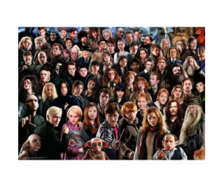 Ravensburger Puzzle Challenge Harry Potter