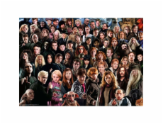 Ravensburger Puzzle Challenge Harry Potter
