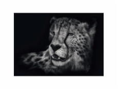 Schmidt Games Ashley Rader: Speed - Gepard, Ve znamení milosti, Puzzle