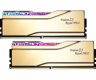 G.Skill DIMM 32 GB DDR5-8000 (2x 16 GB) duální sada, RAM