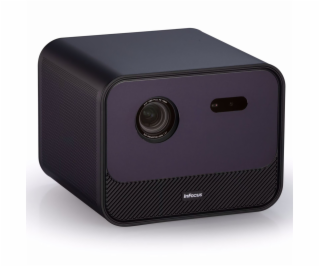 InFocus Crusader Grand Master mit Standfuss           IN3...
