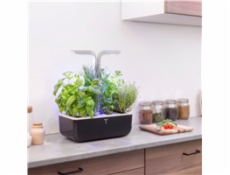 Véritable SMART - Automatický květináč s regulací osvětlení, černá měděná + 4 bylinkové náplně