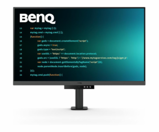 BENQ DISPLAY RD320UA METALLIC GREY