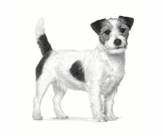 ROYAL CANIN Gastrointestinal Low Fat Small VHN - suché kr...