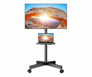 TV mount 23-60  Perlegear PGTVMC06