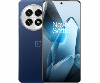 OnePlus 13 17,3 cm (6.82 ) Dual SIM Android 15 5G USB typ...
