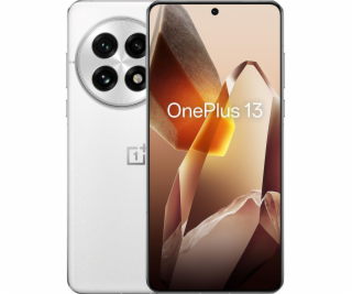 OnePlus 13 17,3 cm (6.82 ) Dual SIM Android 15 5G USB typ...