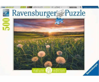 Puzzle 500 Meadow Elements