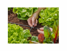   Micro-Drip-System příčný kus 4,6 mm (3/16 ), připojení 