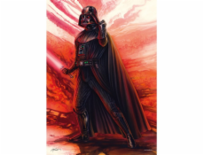  Star Wars - The Sith, Puzzle