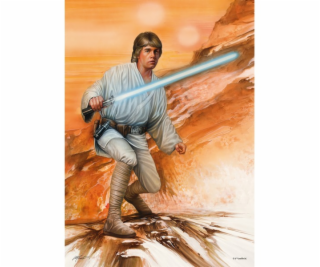  Star Wars - Fearless