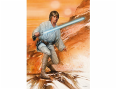  Star Wars - Fearless