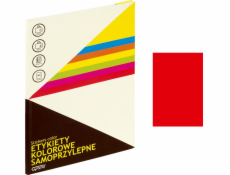 ŠTÍTKY Herlitz A4 210 MM X 297 MM, ŽLUTÉ