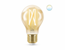 WiZ LED E27 A60 8718699787219 20-50K Amb