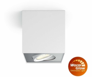 Philips Box 50491/31/P0 1xLED IP20 bílé