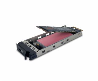 Fantec NVMe PCIe-WL-TR-1 Einschub