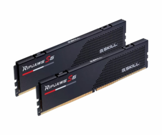  DIMM 48 GB DDR5-5600 (2x 24 GB) duální sada, RAM