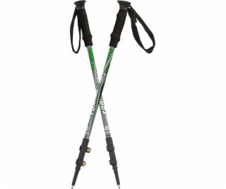 Enero trekking Torino